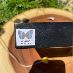 Silver Post | Accents | Single Morpho Achilles Butterfly In Frame ...